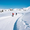 You will find many cross-country ski trails.