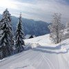 © http://www.skilifthabkern.ch/