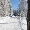 Das Gebiet rund um den Rennsteig ist ein echtes Eldorado für Langläufer