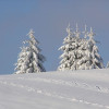 Landschaft in Neuhaus